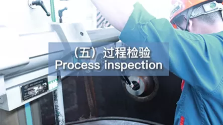 Process inspection